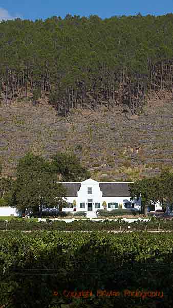 A Cape Dutch winery in Franschhoek