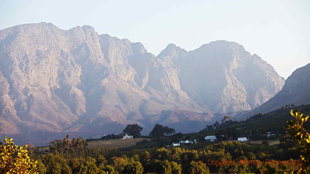 Majestic mountains and vineyards at sunset in Franschhoek, South Africa