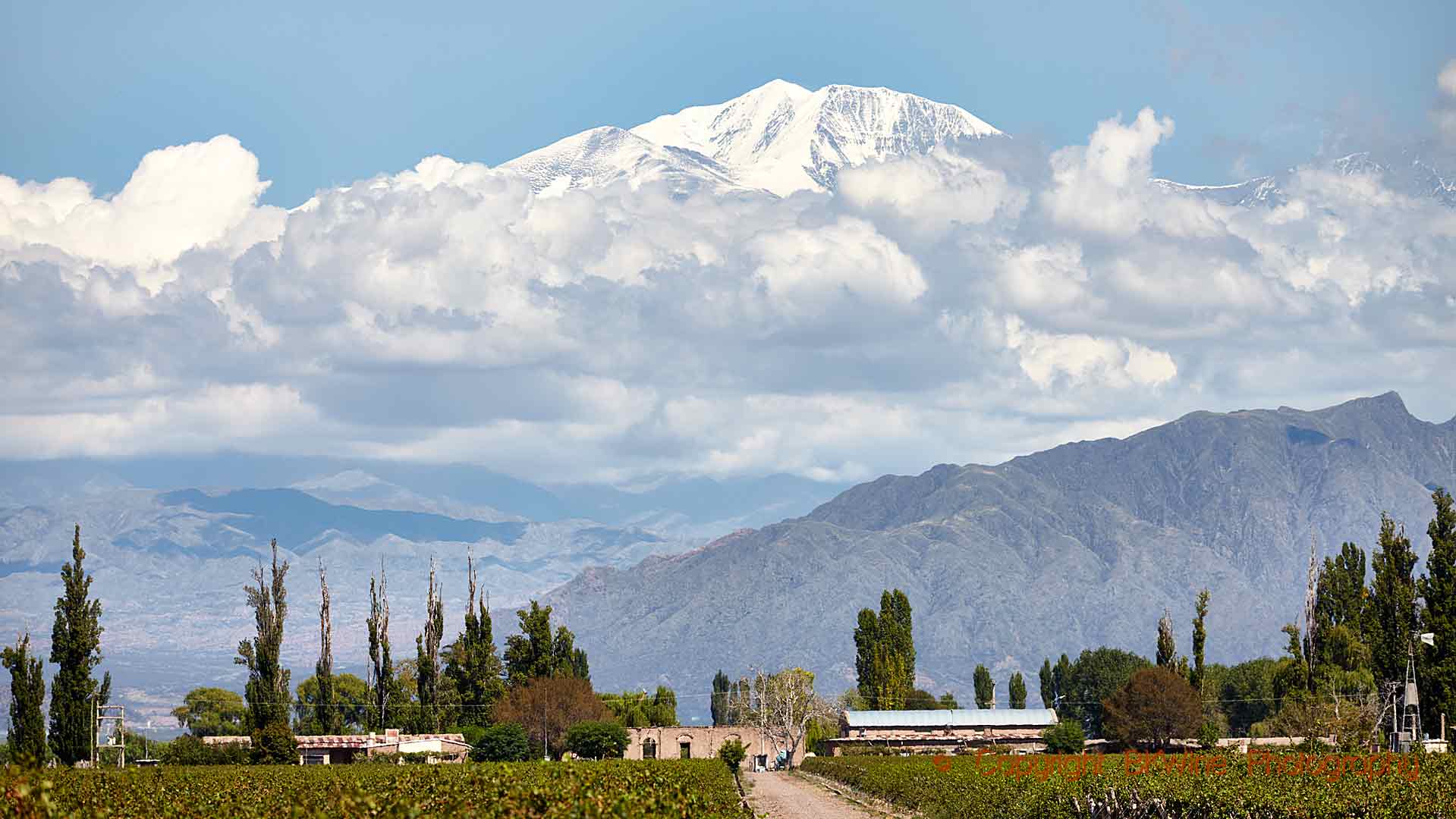 A view from a Mendoza winery over vineyards and the Andes