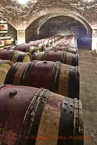 Wine ageing in barrels in Burgundy
