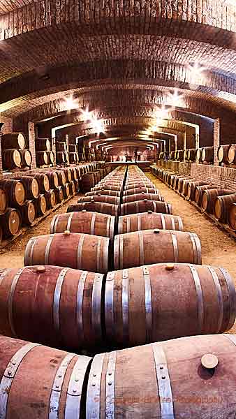 An old wine cellar with oak barrels in Colchagua, Chile