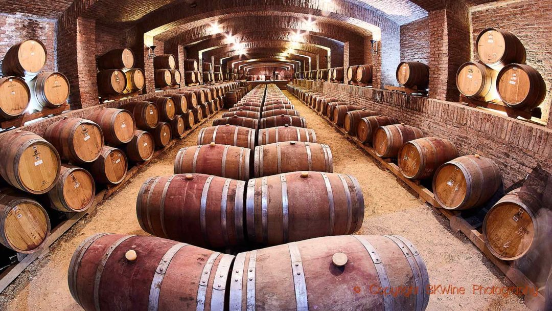 An old wine cellar with oak barrels in Colchagua, Chile