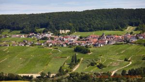 A village and vineyards in Champagne