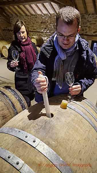 Taking a barrel sample of champagne vin clair to taste