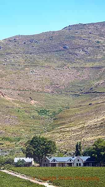 A mountain protecting the winery and vineyards, Franschhoek