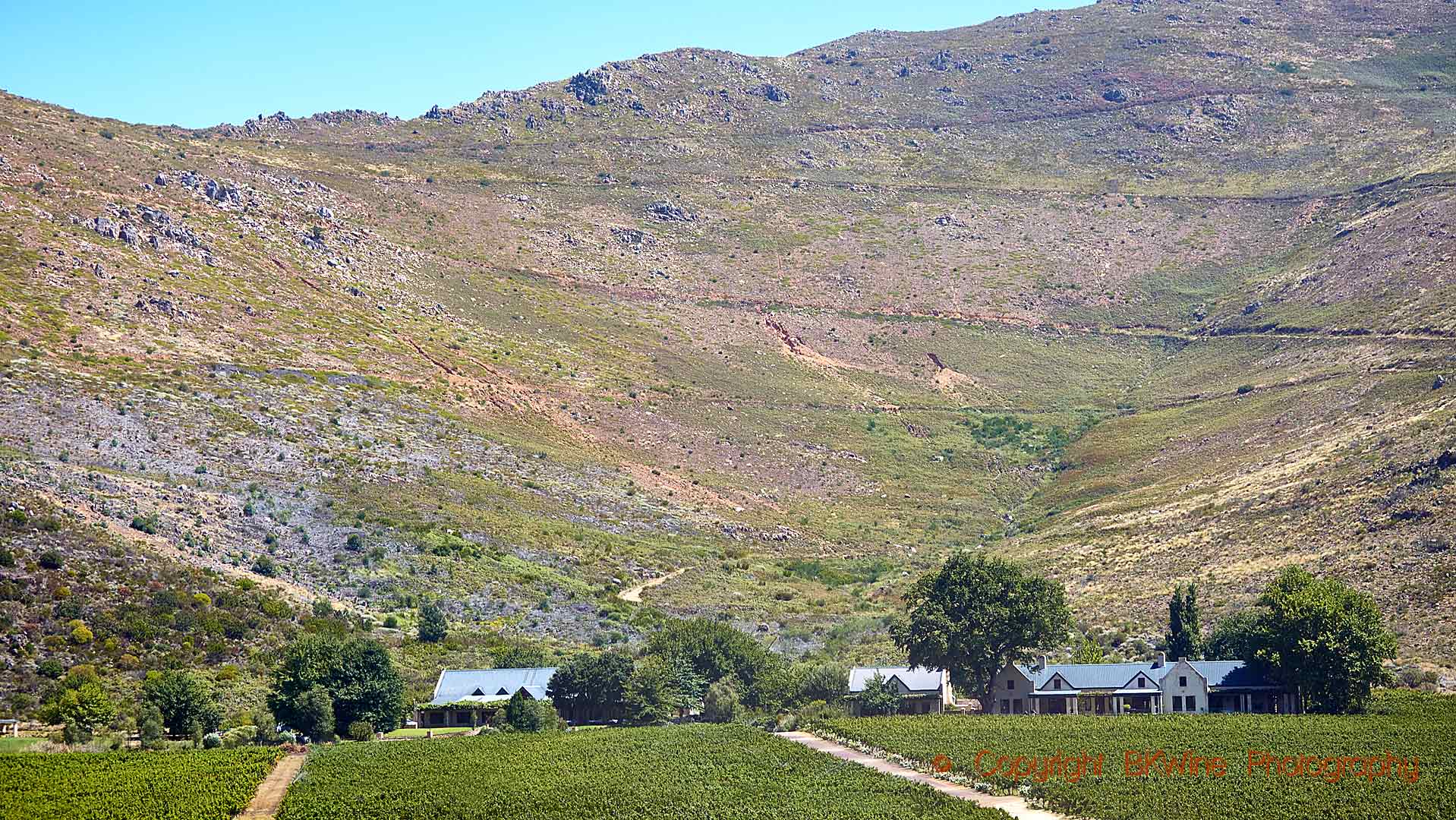 Vineyards and a winery at the foot of a mountain in Franschhoek, South Africa