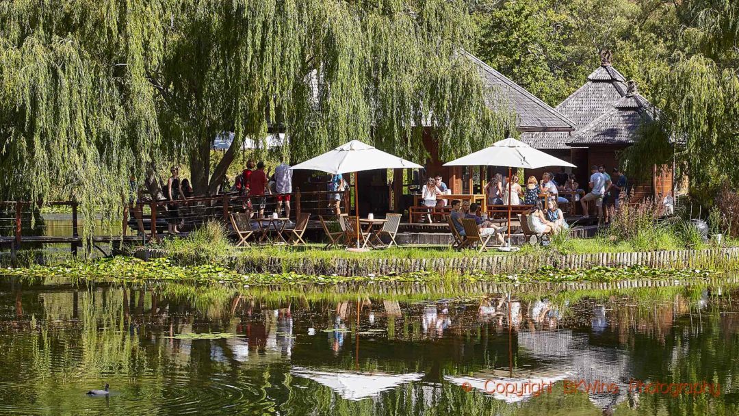 A restaurant at a winery in Stellenbosch