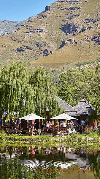 A winery restaurant in Stellenbosch