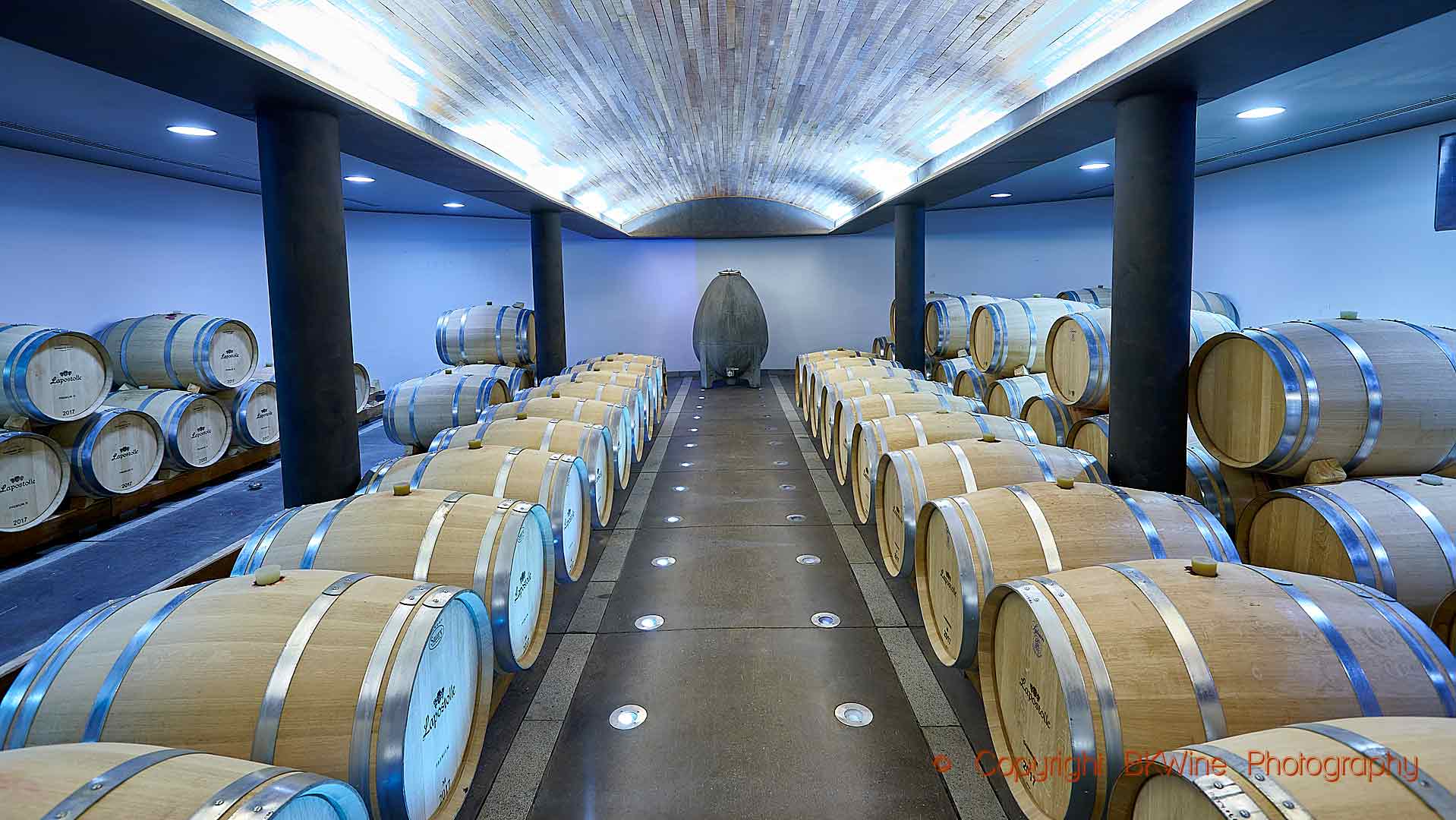 A wine cellar with oak barrels and an egg-tank in Chile