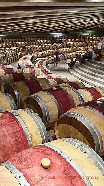 A beautiful modern barrel cellar in Colchagua, Chile