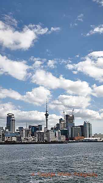 Auckland skyline