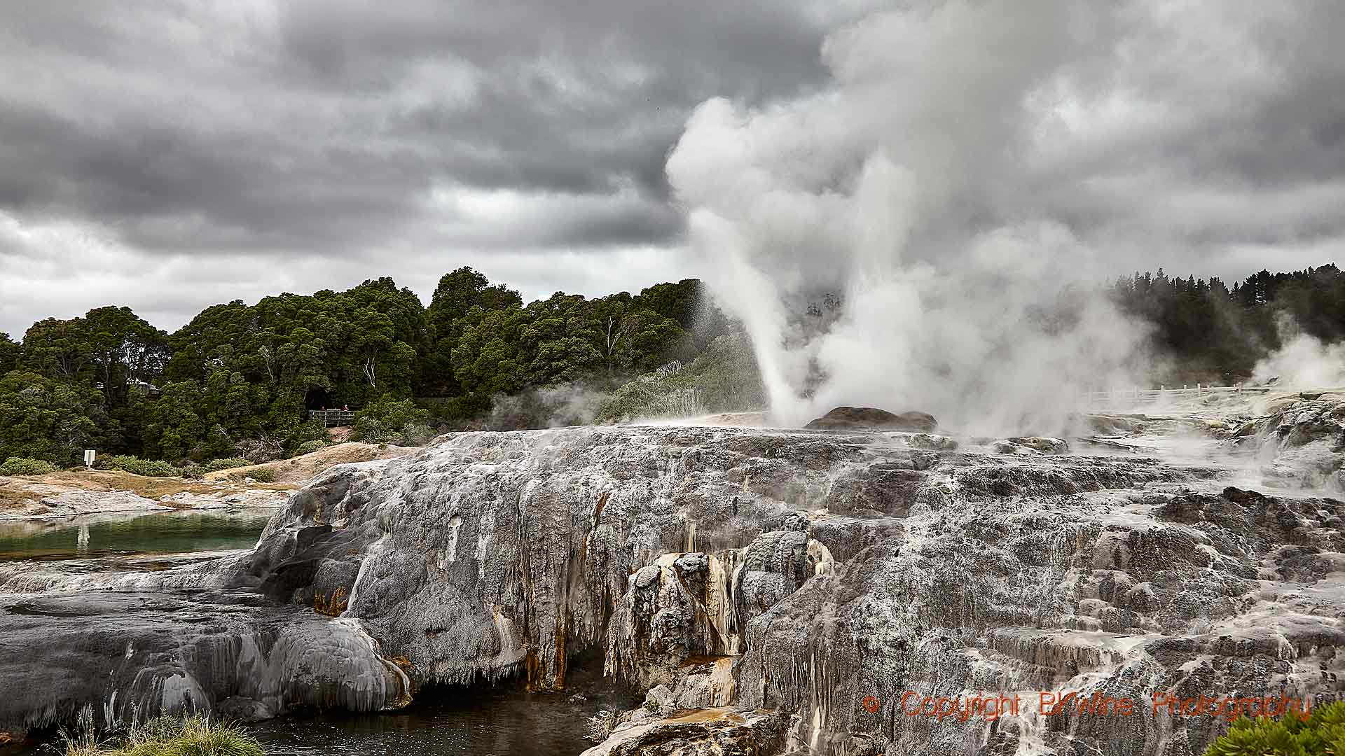 Geysers and sulphur springs in Rotorua