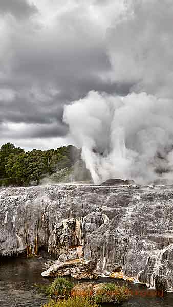 Geysers and sulphur springs in Rotorua