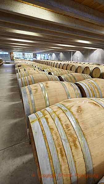 A barrel cellar in a winery in Central Otago