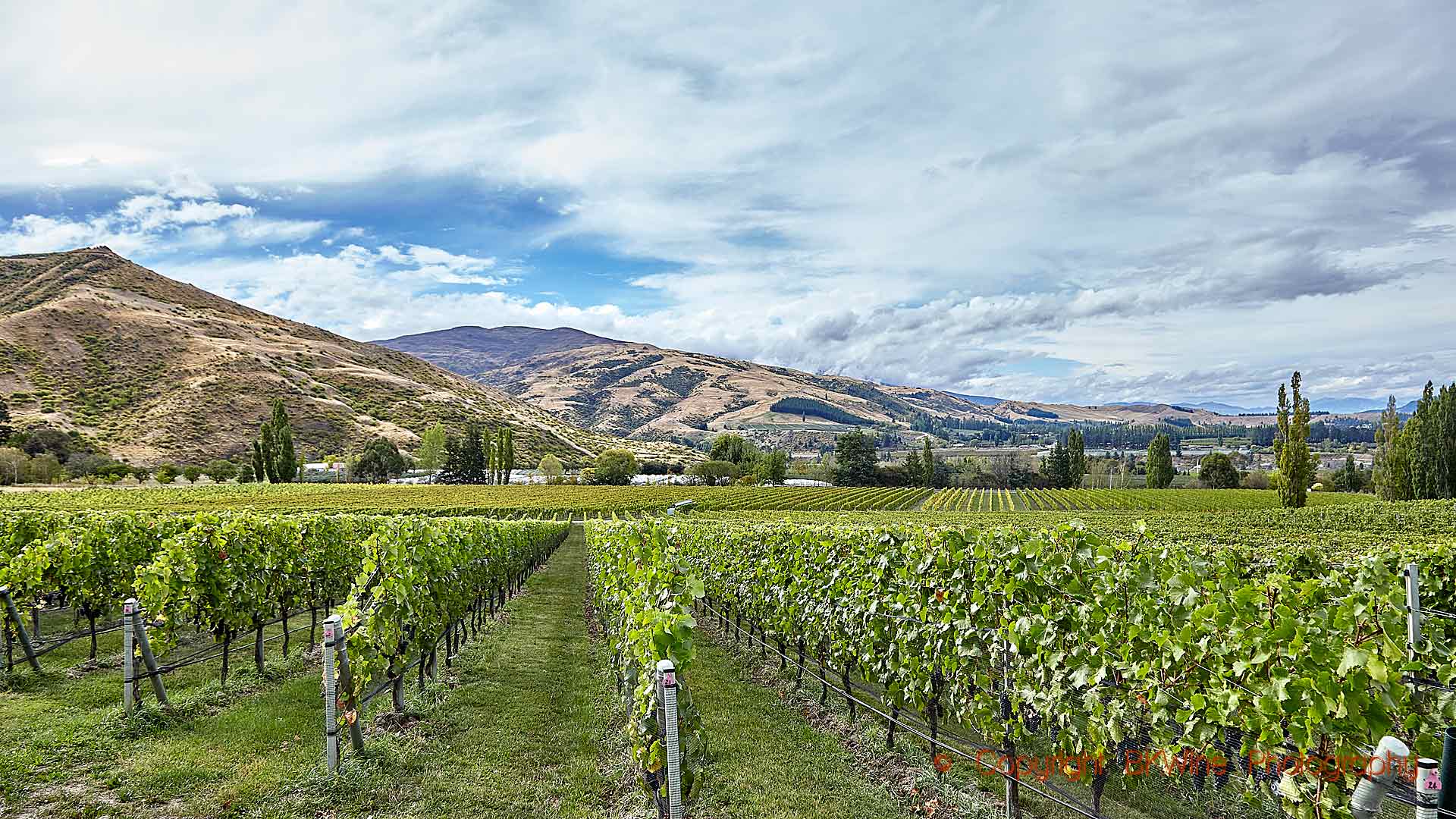 Cloudy Bay Cellar Door Central Otago  Activity in Central Otago, New  Zealand