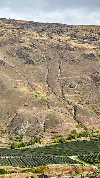 A dramatic vineyard landscape in Central Otago