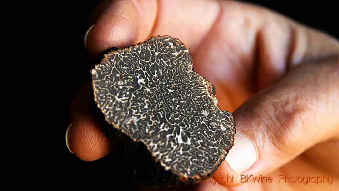 A precious black truffle