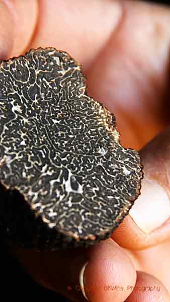 A precious black truffle