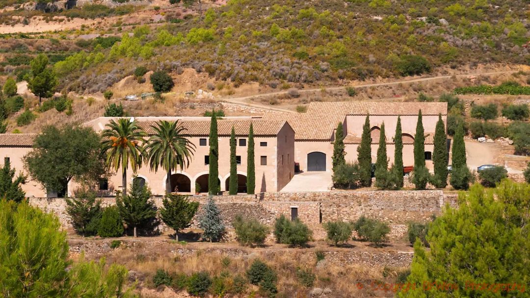 A winery with palm trees and cypresses in Catalonia