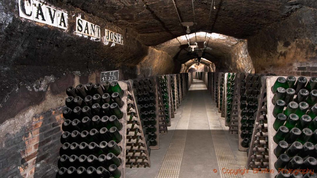 Bottles of sparkling cava in a wine cellar tunnel in Catalonia