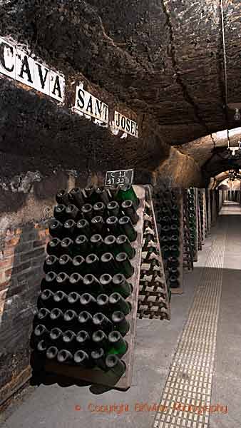 Bottles of sparkling cava in a wine cellar tunnel in Catalonia