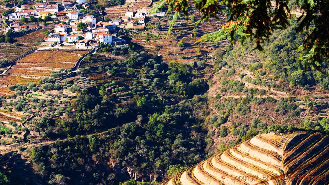 A village on the vineyard slopes on the opposite side of the valley