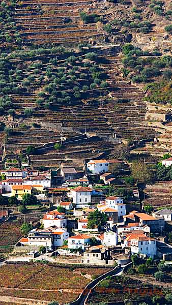 A village on the vineyard slopes on the opposite side of the valley