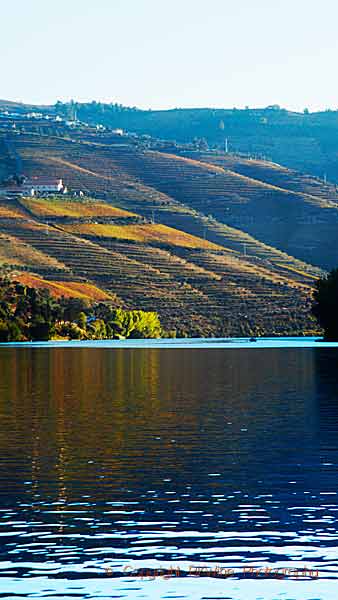 A winery on a hilltop above the steep vineyards and the Douro River