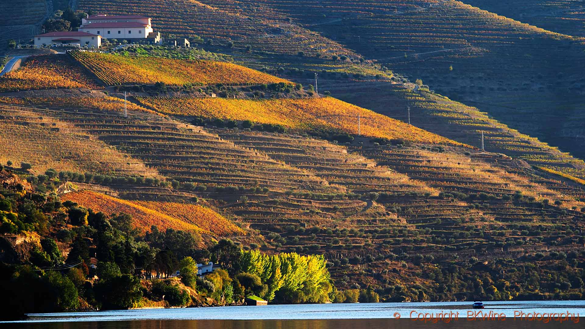 A winery on a hilltop above the steep vineyards and the Douro River