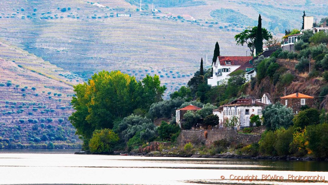 A winery along the Douro River