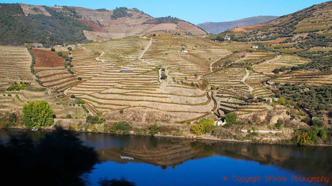 Steep slopes with vineyard terraces along the Douro River