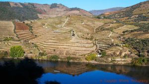 Steep slopes with vineyard terraces along the Douro