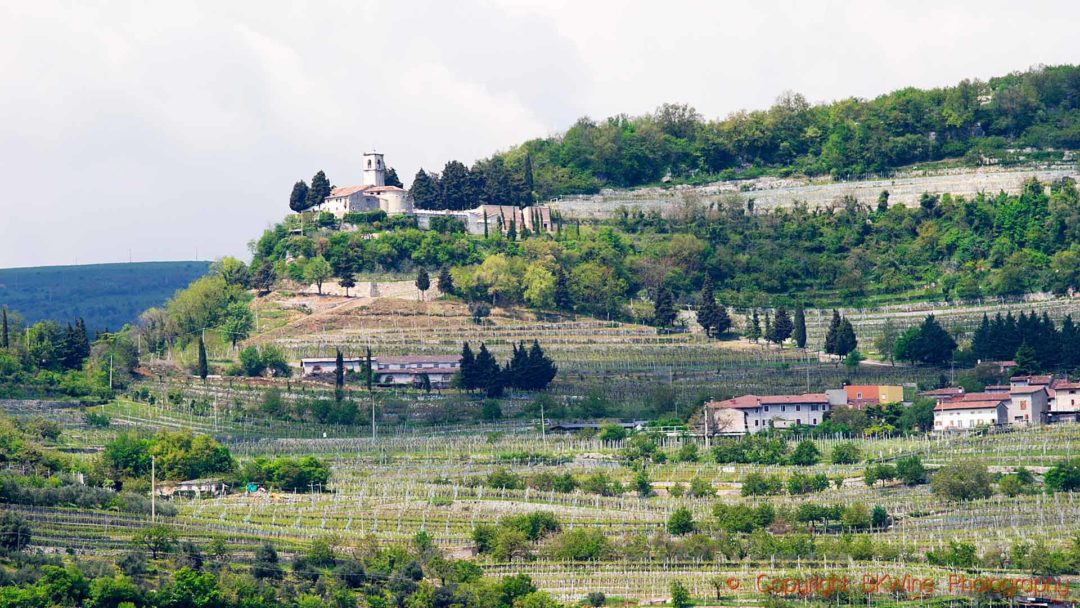 Landscape in Valpolicella, Veneto, with vineyards and a church