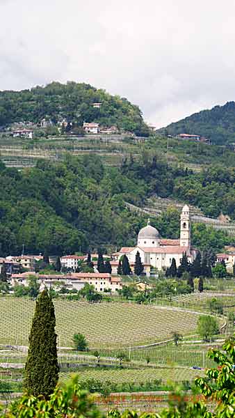 Landscape in Valpolicella, Veneto, with vineyards and a church