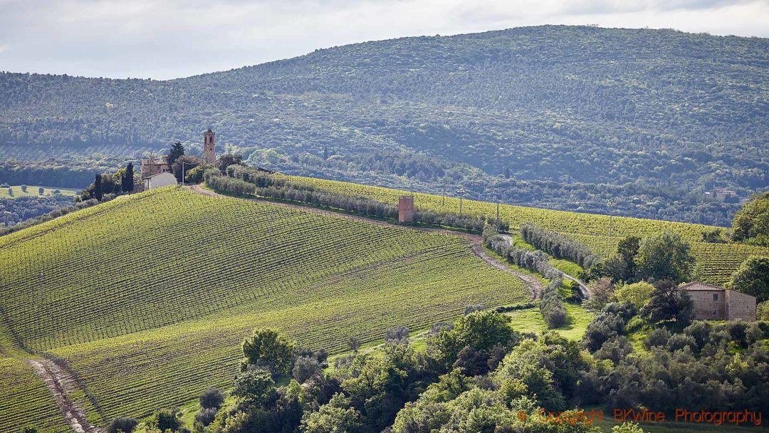 Vineyards and a castle on a hill-top in Tuscany