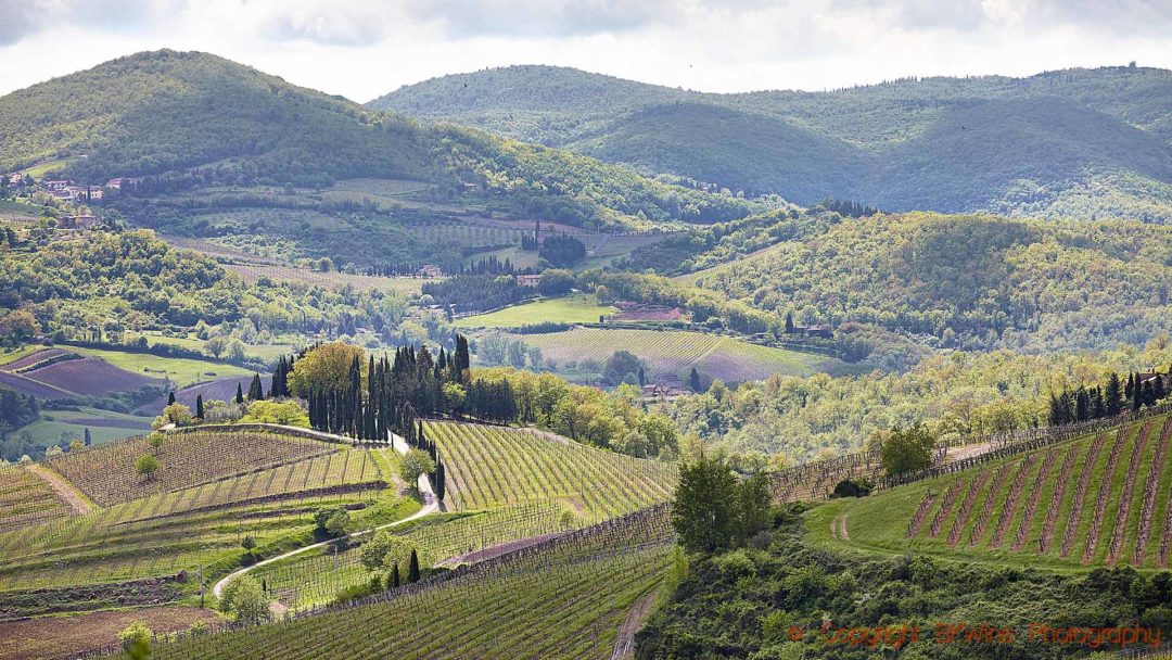 A winding road through the vineyards and hills in Tuscany