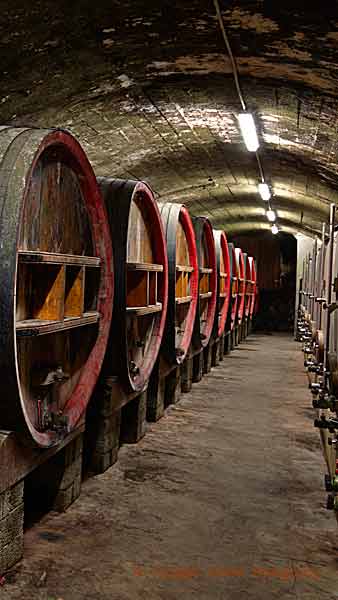 A wine cellar with old oak barrels in the Rhone Valley