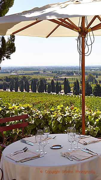Table set for lunch among the vineyards in the Rhone Valley