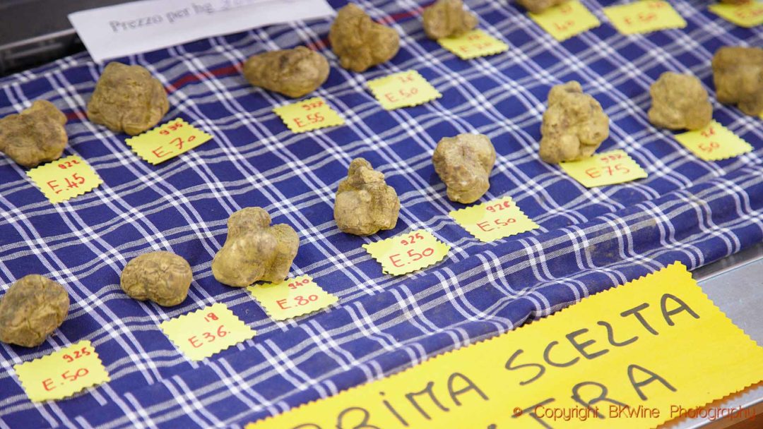 Fresh white truffles on the truffles market in Alba