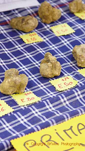 Fresh white truffles on the truffles market in Alba