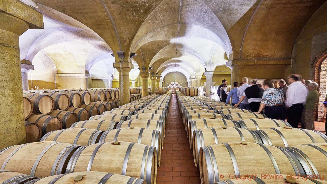An elegant barrel cellar in Barbaresco, Piedmont
