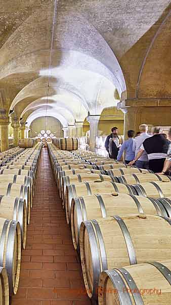 An elegant barrel cellar in Barbaresco, Piedmont