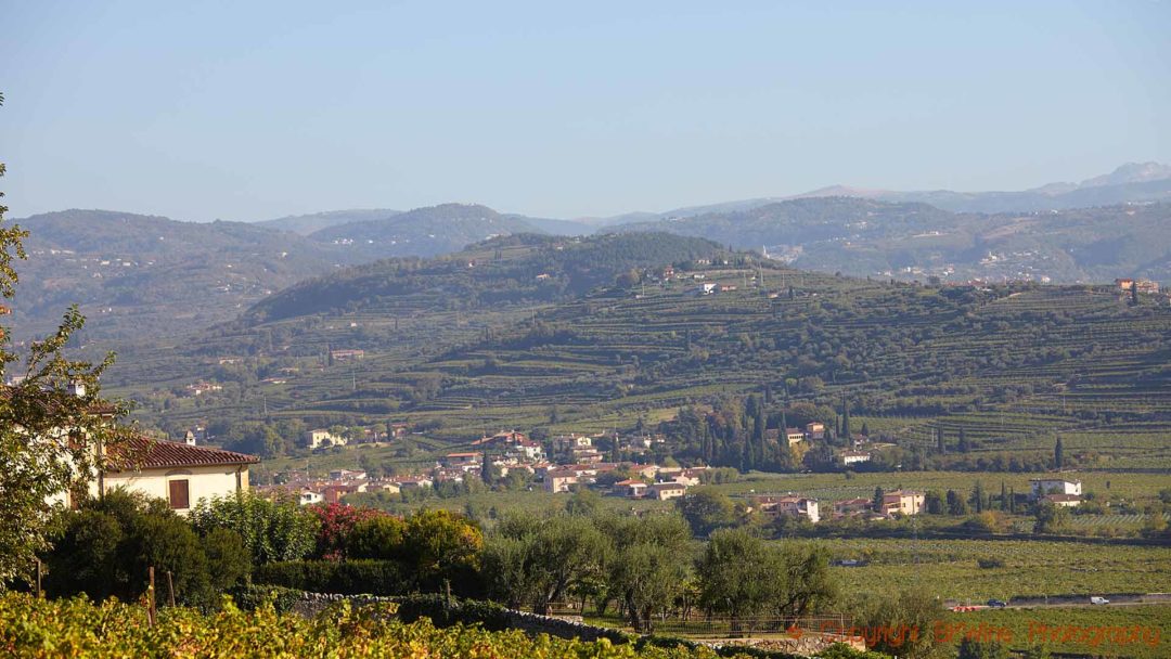 Valpolicella landscape with vineyards and mountains