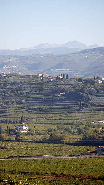 Valpolicella landscape with vineyards and mountains