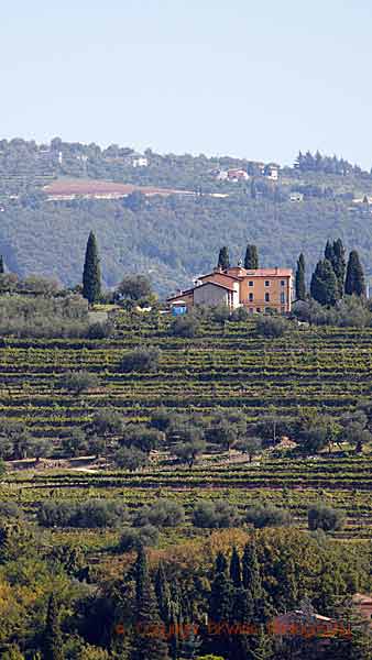 Valpolicella landscape with vineyards and an elegant villa