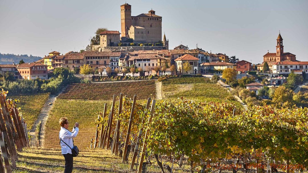 Vineyards and a village with an old castle in Barolo
