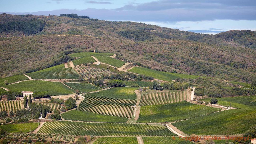 Vineyards on a hill slope in Tuscany