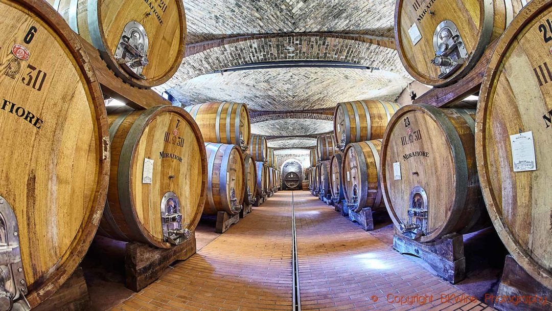 An old cellar with big oak barrels, botti, in Barolo