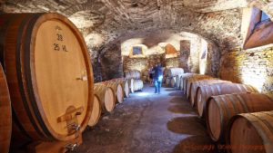 An old wine cellar in a Piedmont castle