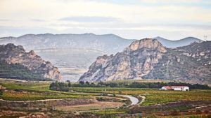 The dramatic Cantabrian Mountains and vineyards in Rioja